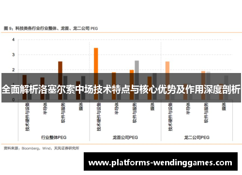 全面解析洛塞尔索中场技术特点与核心优势及作用深度剖析
