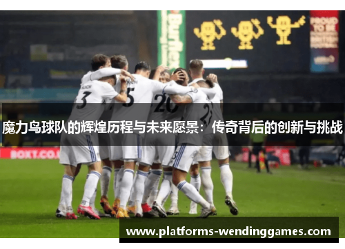 魔力鸟球队的辉煌历程与未来愿景：传奇背后的创新与挑战